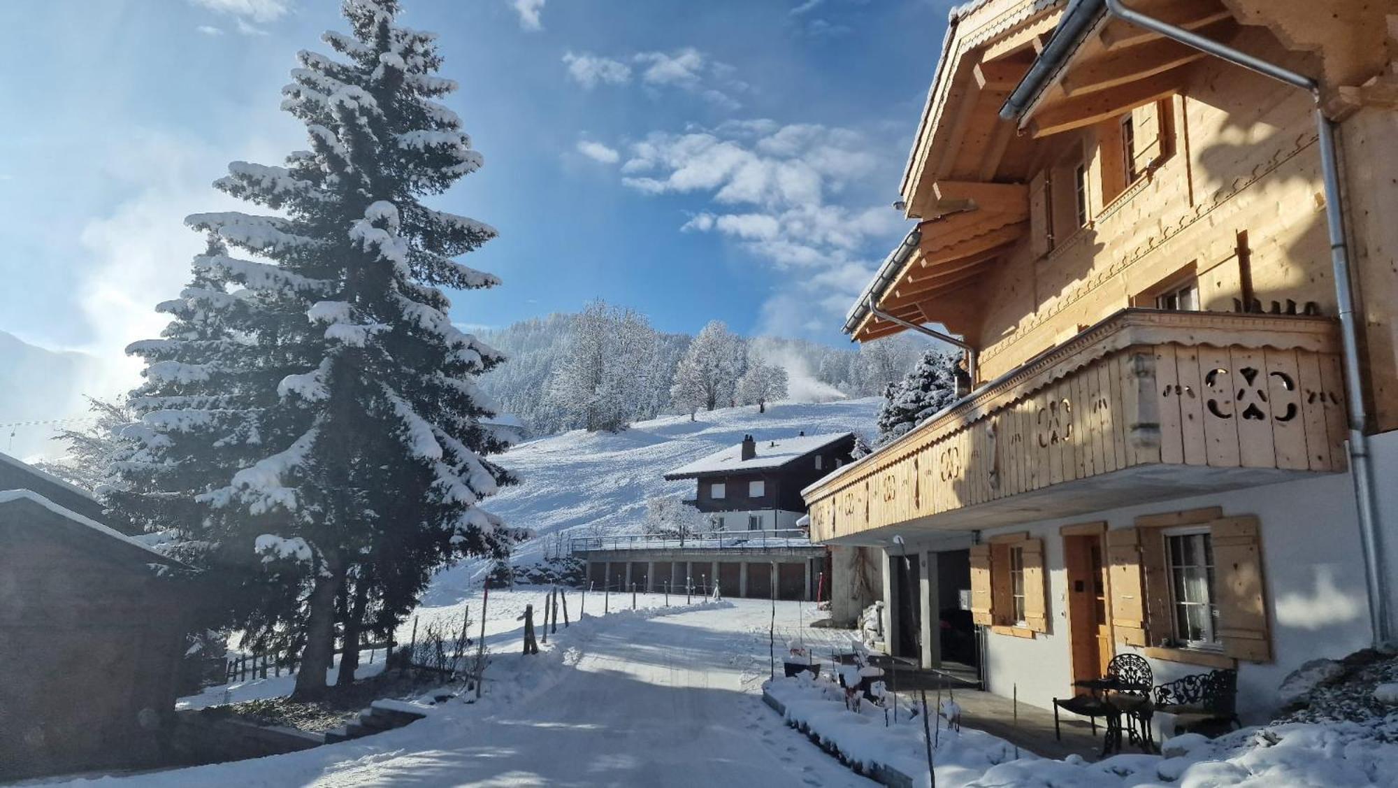 Large Deluxe Studio For 2 - Chalet Lovo Lenk Εξωτερικό φωτογραφία