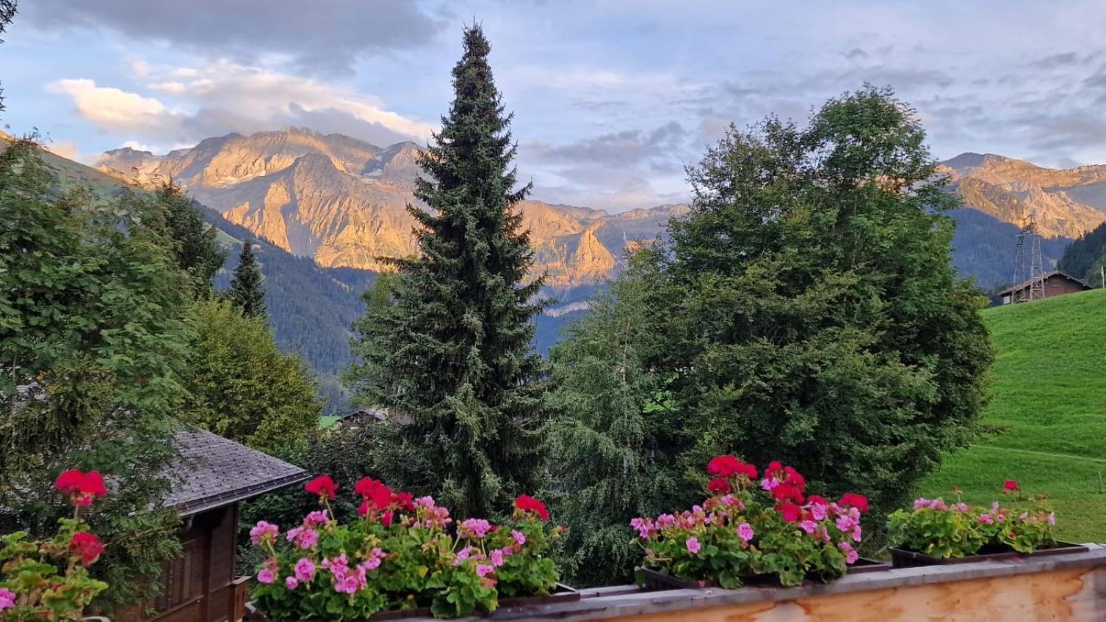 Large Deluxe Studio For 2 - Chalet Lovo Lenk Εξωτερικό φωτογραφία