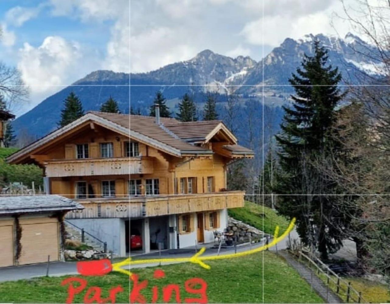 Large Deluxe Studio For 2 - Chalet Lovo Lenk Εξωτερικό φωτογραφία