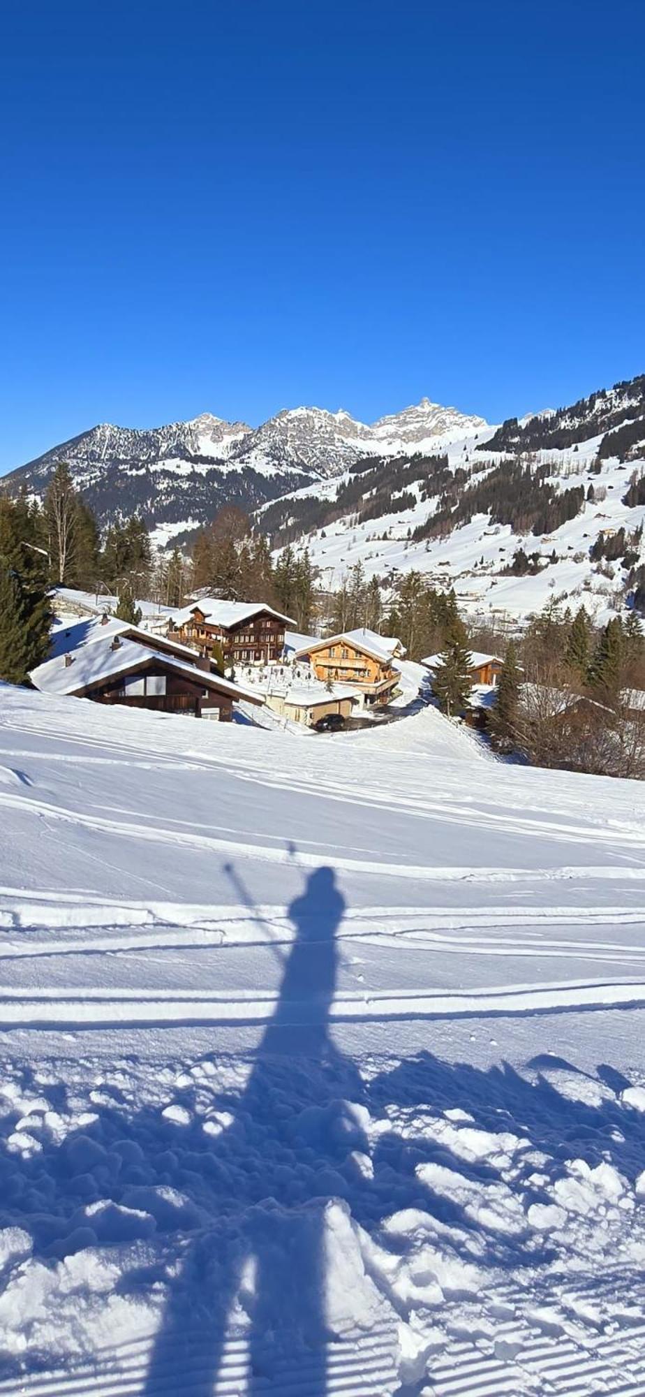 Large Deluxe Studio For 2 - Chalet Lovo Lenk Εξωτερικό φωτογραφία