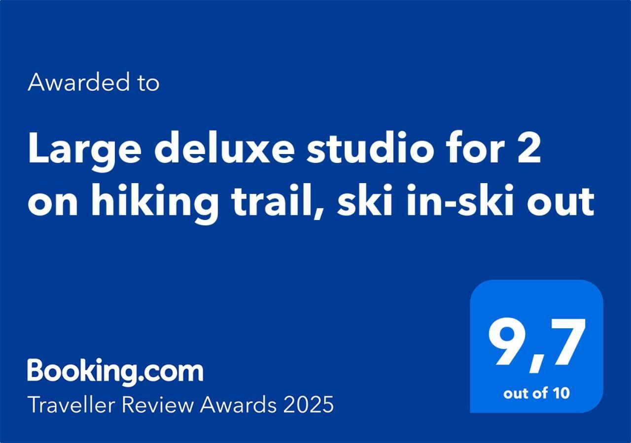 Large Deluxe Studio For 2 - Chalet Lovo Lenk Εξωτερικό φωτογραφία